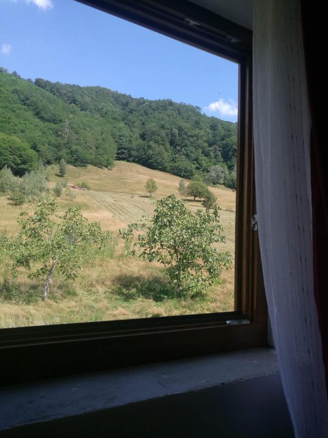 Pensiunea *