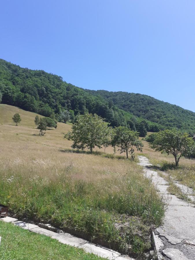 Pensiunea