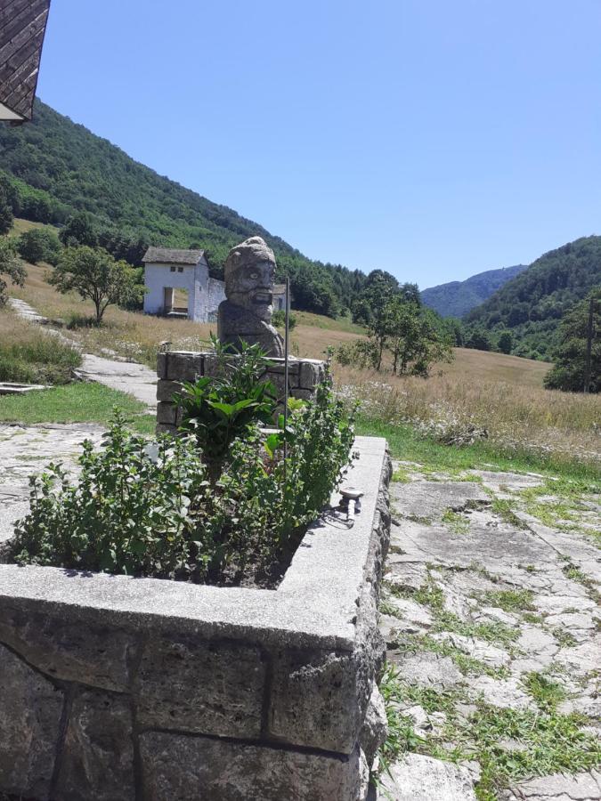 Maison d'hôtes Pensiunea Costeşti